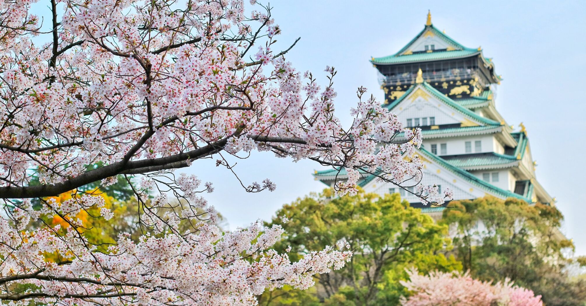 Optimistic trends and records of inbound tourism in Japan in 2024