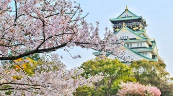 Optimistic trends and records of inbound tourism in Japan in 2024