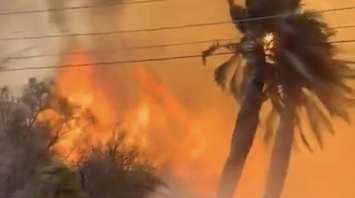 Large-scale forest fires have broken out in Chile: almost 50 people have died, but there may be more victims. Photos, videos