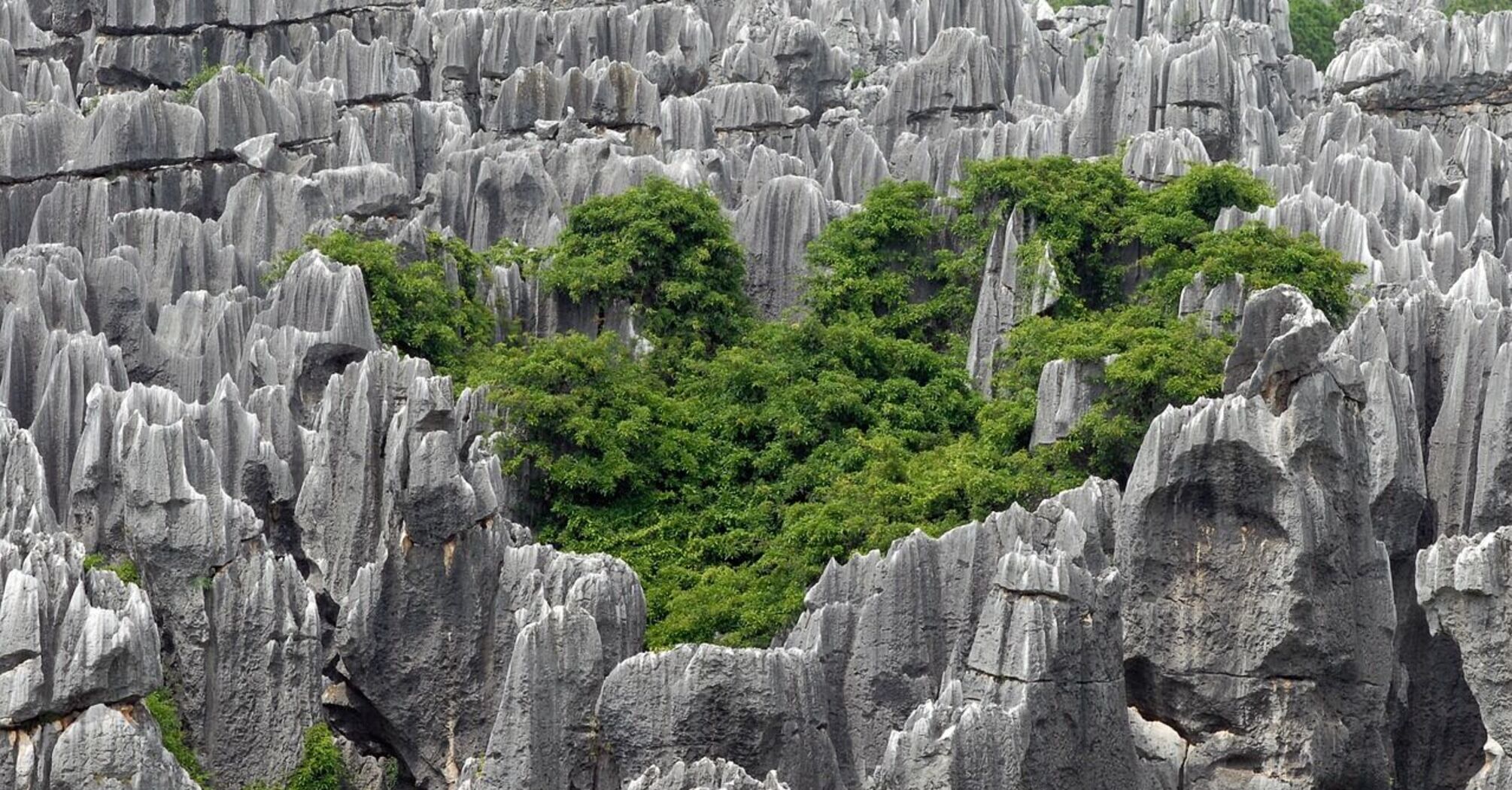 Cities of giants, salt flats, and stone forests: top 5 natural geological wonders of the world