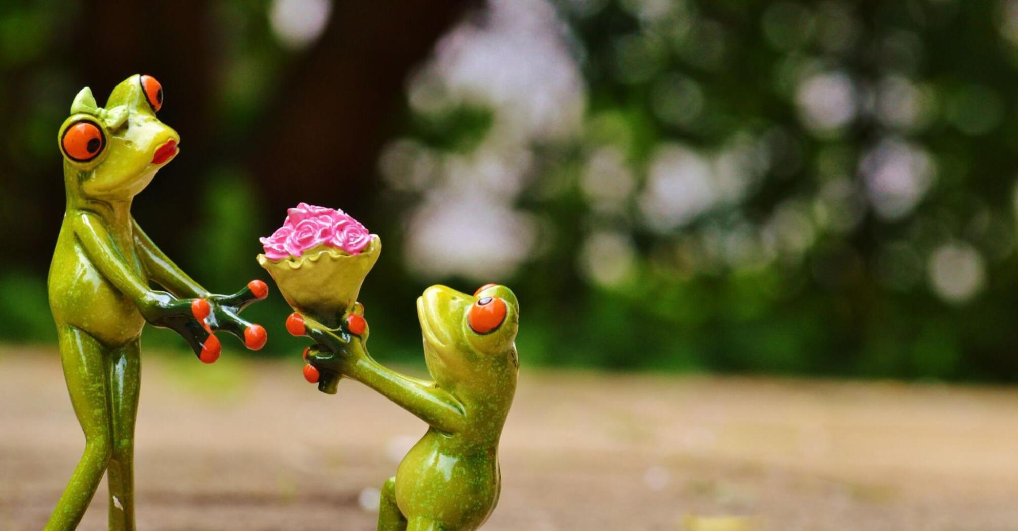 Frog gives a bouquet to his princess