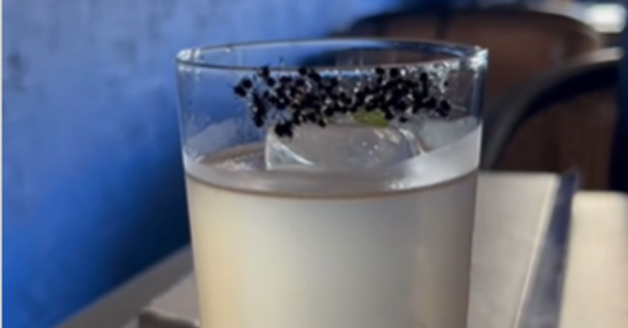 Cocktail with ants
