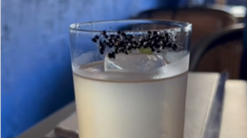 Cocktail with ants