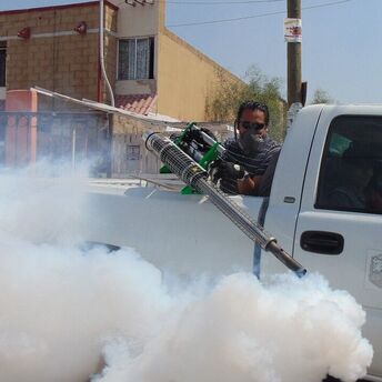 Rio de Janeiro declares state of emergency due to dengue fever outbreak