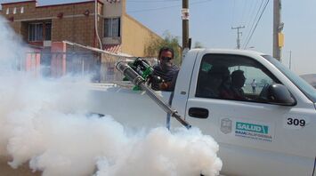 Rio de Janeiro declares state of emergency due to dengue fever outbreak