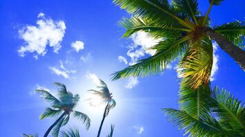 Family vacation in Hawaii: 5 places to visit on the Pacific coast