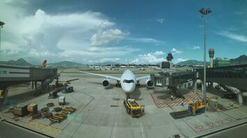 An airport worker in Hong Kong tragically died when he fell from a evacuator under the plane