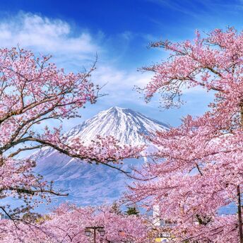 The local government is sounding the alarm: it will be more difficult for tourists to climb Mount Fuji