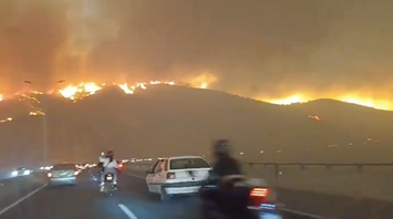 Forest fires in Chile: the number of victims has increased and three hundred people are missing