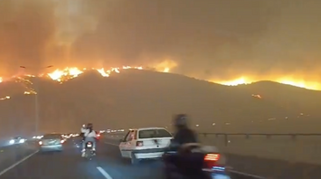 Forest fires in Chile: the number of casualties has increased, and three hundred people are missing