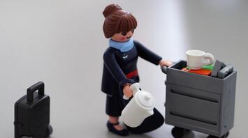 Wild things on board: Flight attendant shares his experience of 25 years of work