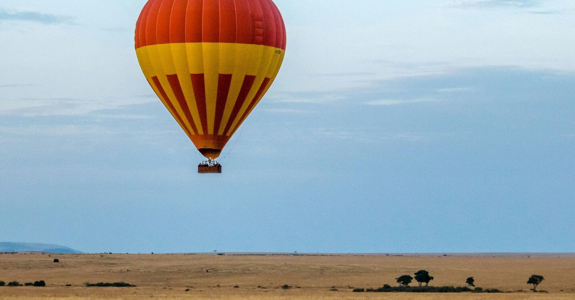 A lone hot air balloon over a herd of zebras.