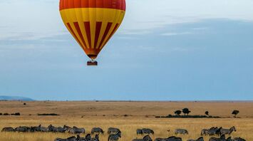 A lone hot air balloon over a herd of zebras.