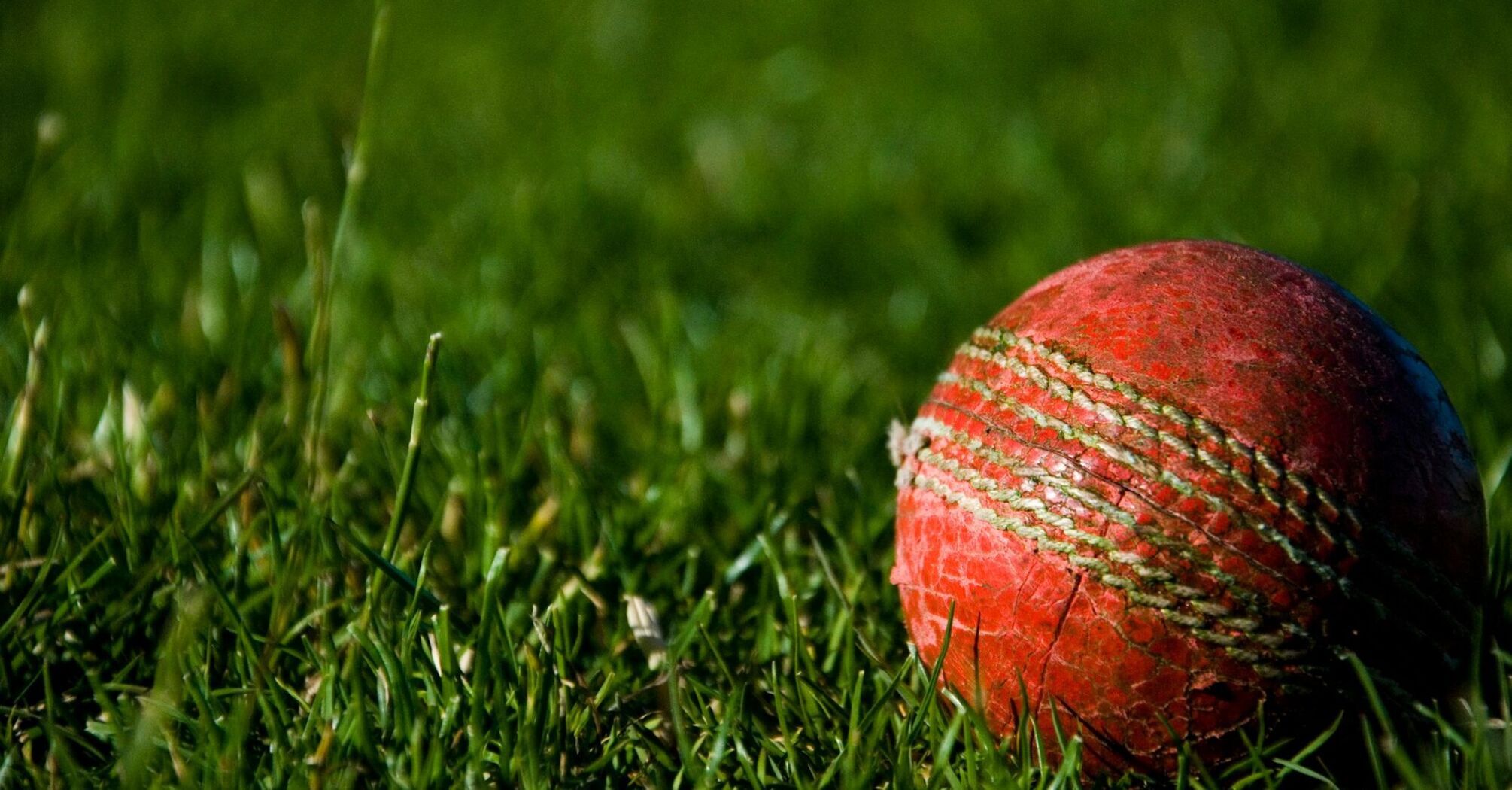 Red cricket ball on the grass