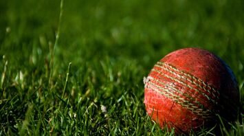 Red cricket ball on the grass