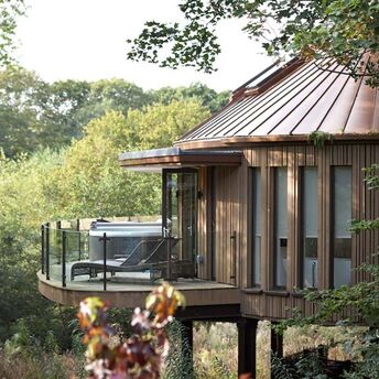 The best treehouse hotels around the world: top 10 ideas on where to spend your vacation, from New Zealand to Jamaica