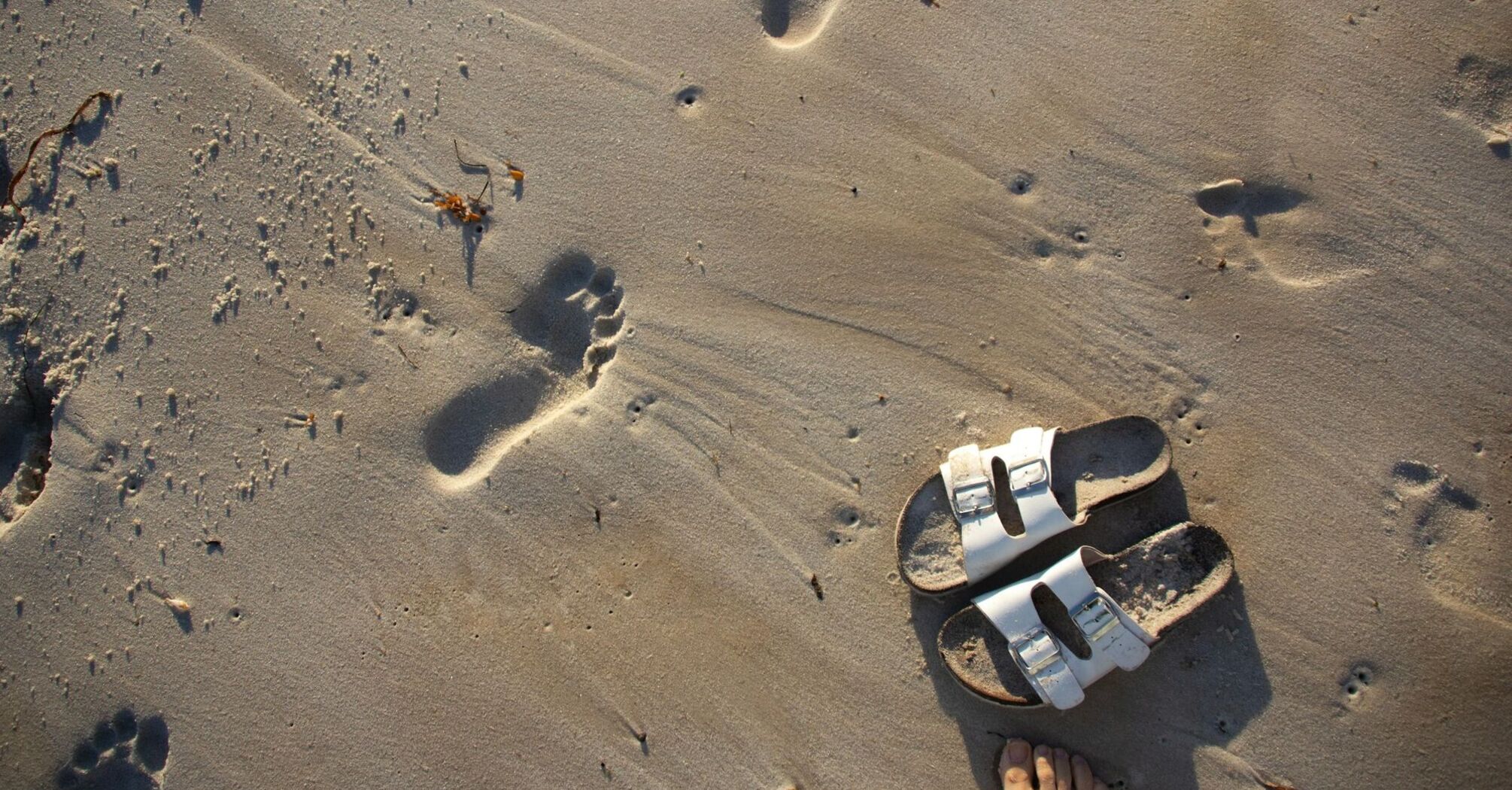 Footprints and a pair of sandals on sandy beach