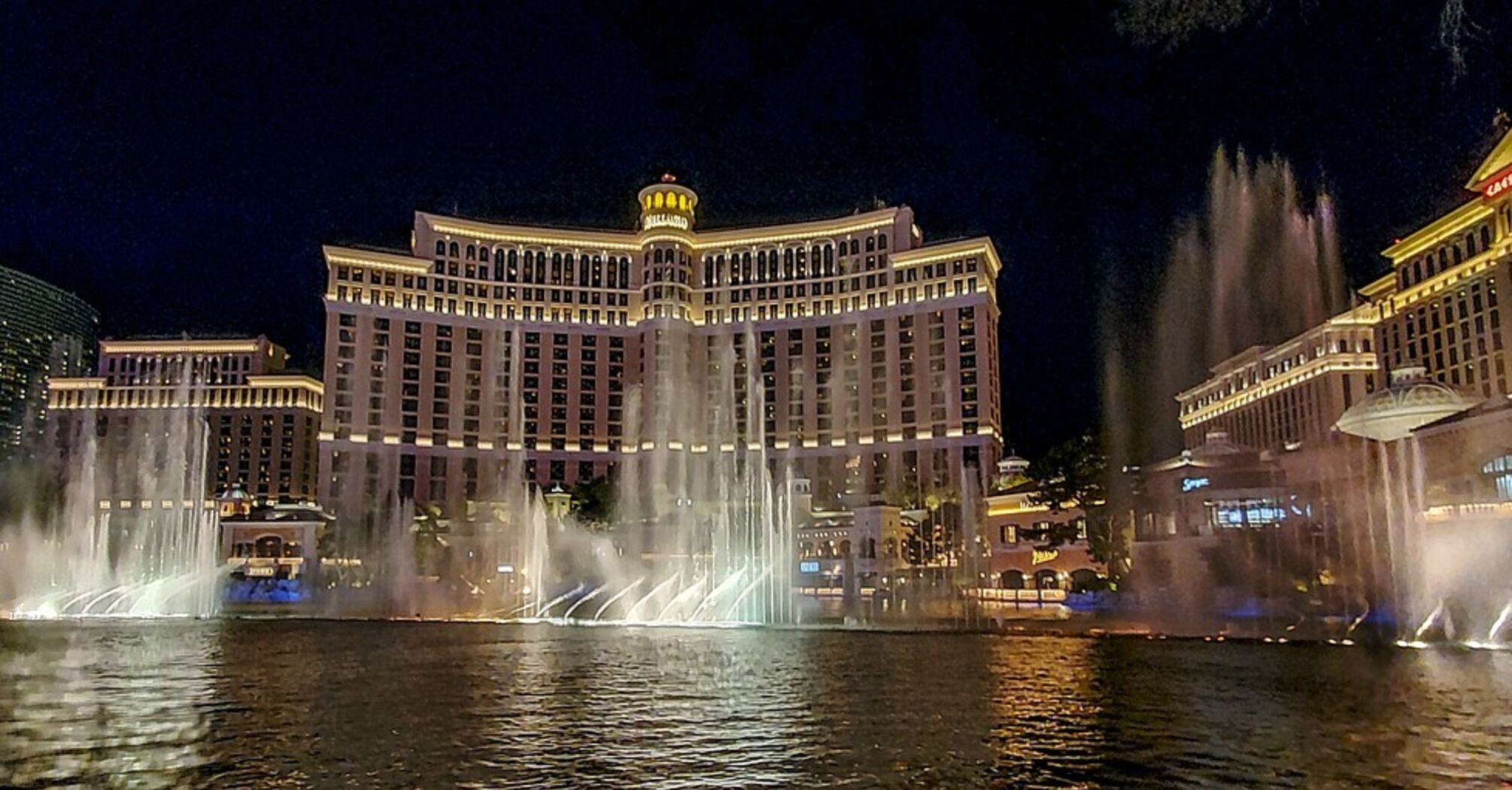 A rare bird stopped the operation of the Bellagio fountains in Las Vegas