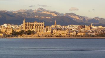 In the city of Palma, they intend to put an end to irresponsible tourism