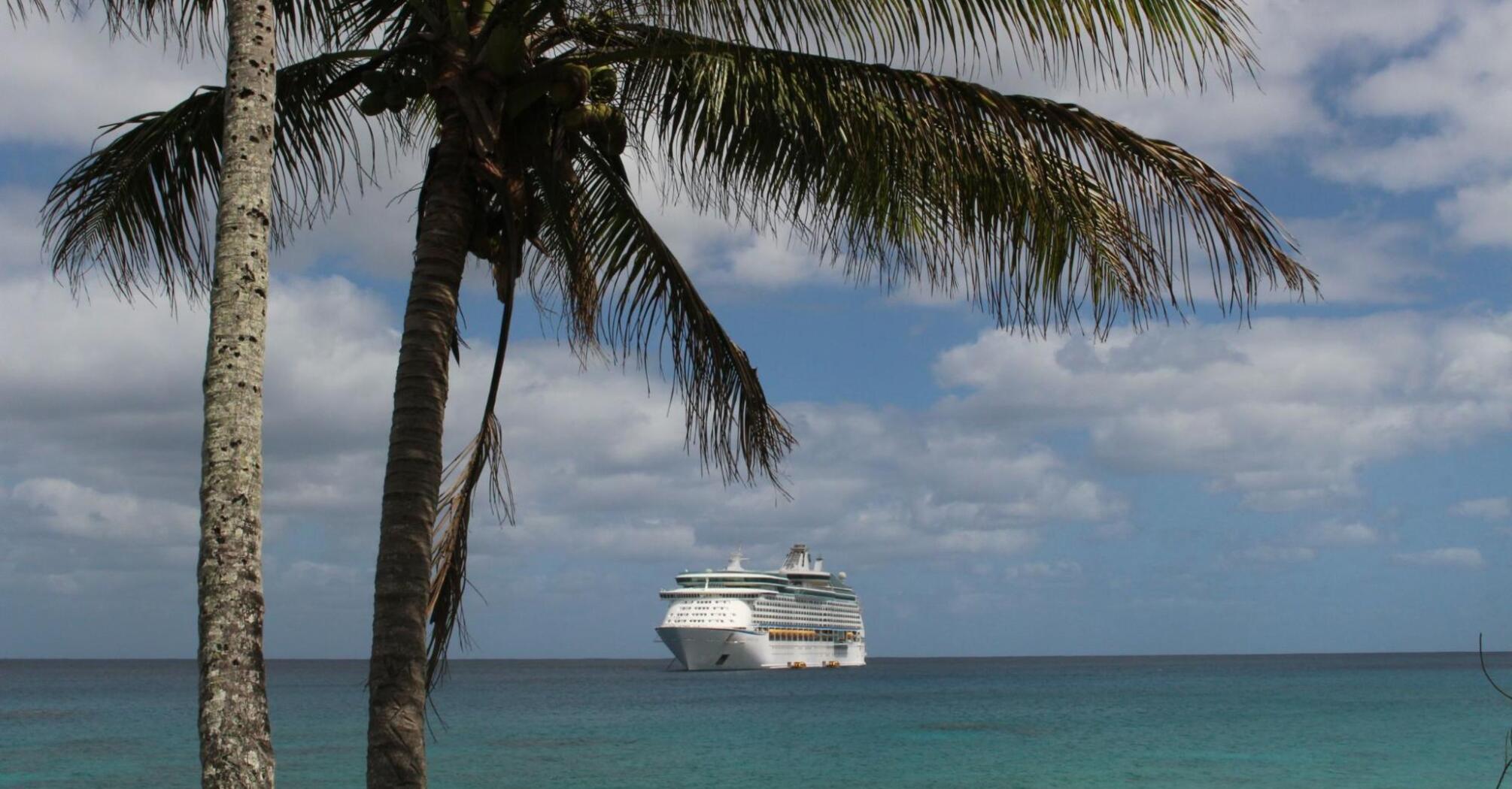 Cruise ship combined with palm tree