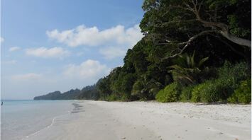 The best beaches in India: 5 perfect places with clear water