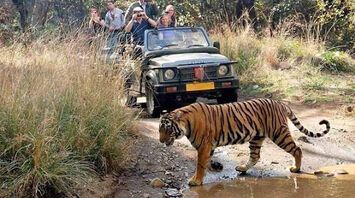 Wildlife in India