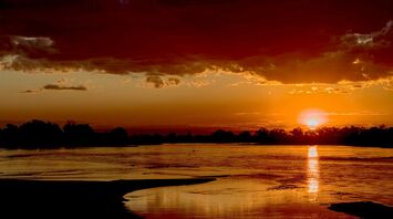 Silhouette of trees near body of water
