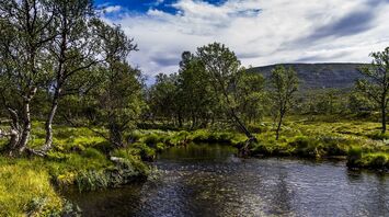 National parks in Norway: visit them on your next trip