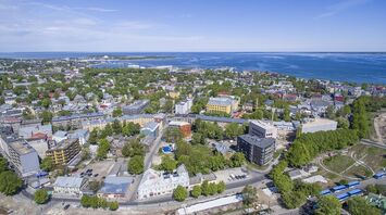 What to bring from Estonia: the best options for souvenirs