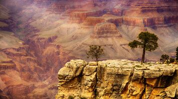 Majestic and unique: reasons to visit the Grand Canyon in 2024