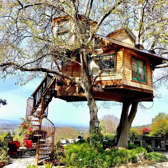 Top 10 of the most awesome treehouses offered by Airbnb near Los Angeles, from a working farm with animals to a tent over vineyards