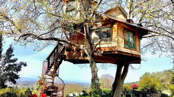 Top 10 of the most awesome treehouses offered by Airbnb near Los Angeles, from a working farm with animals to a tent over vineyards