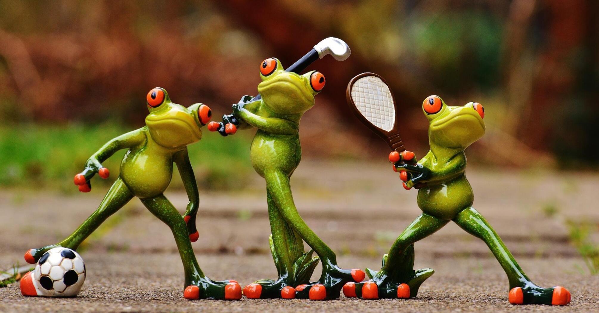 Frogs with different sports equipment