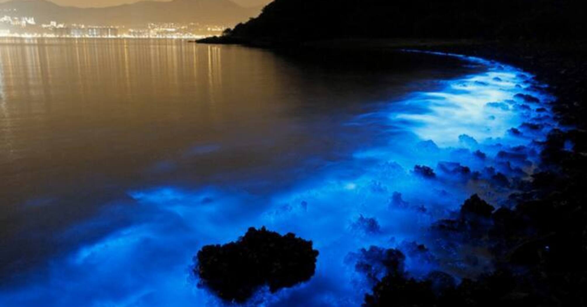 Top 5 mesmerising bioluminescent beaches in India that glow at night