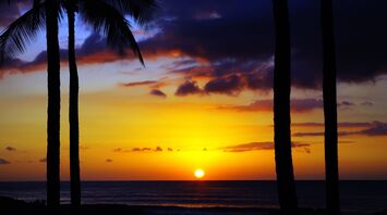 A vivid sunrise over a calm ocean viewed between silhouetted palm trees in Hawaii