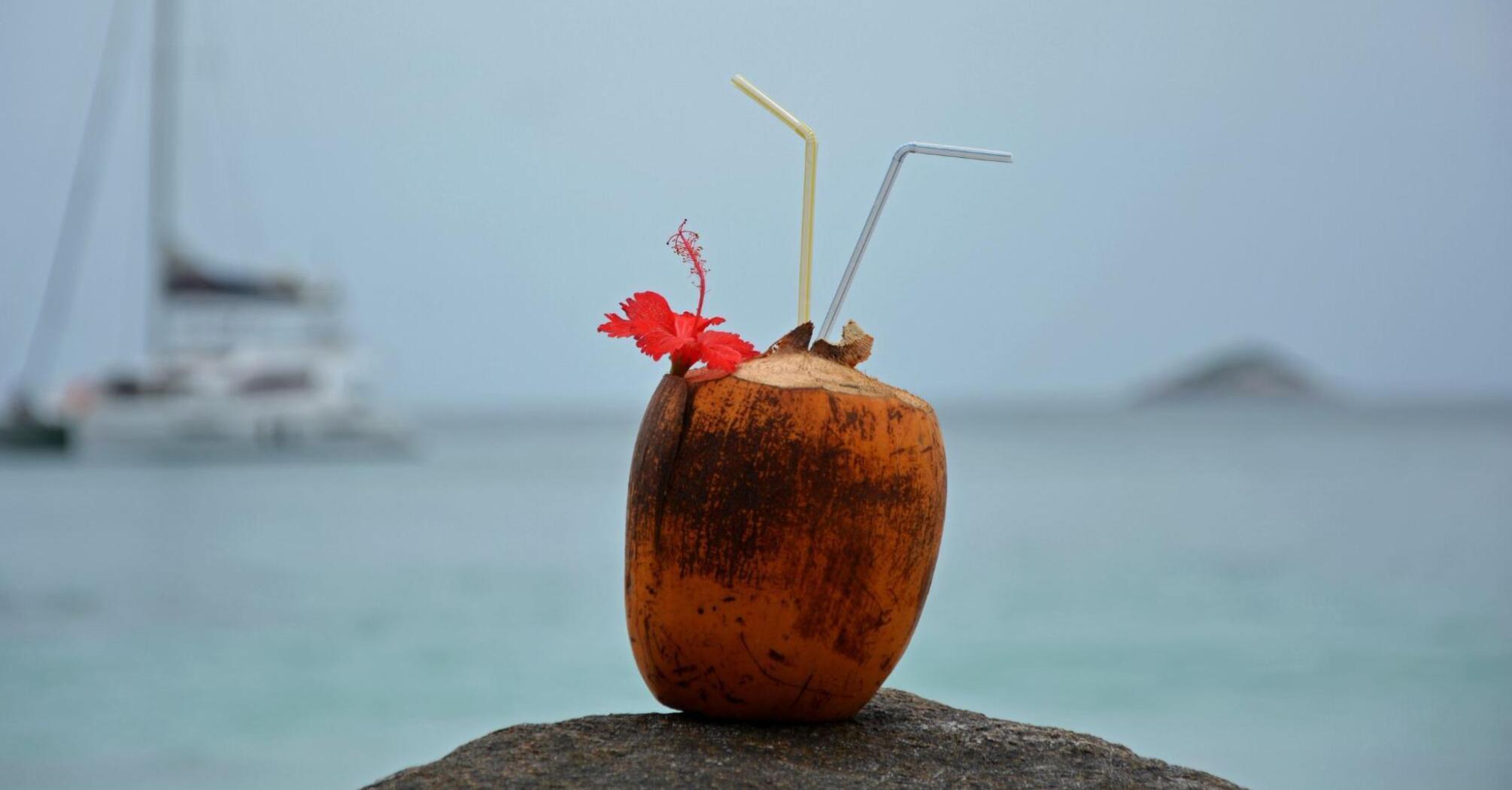 Cocktail in a coconut against the backdrop of the beautiful nature of the Seychelles