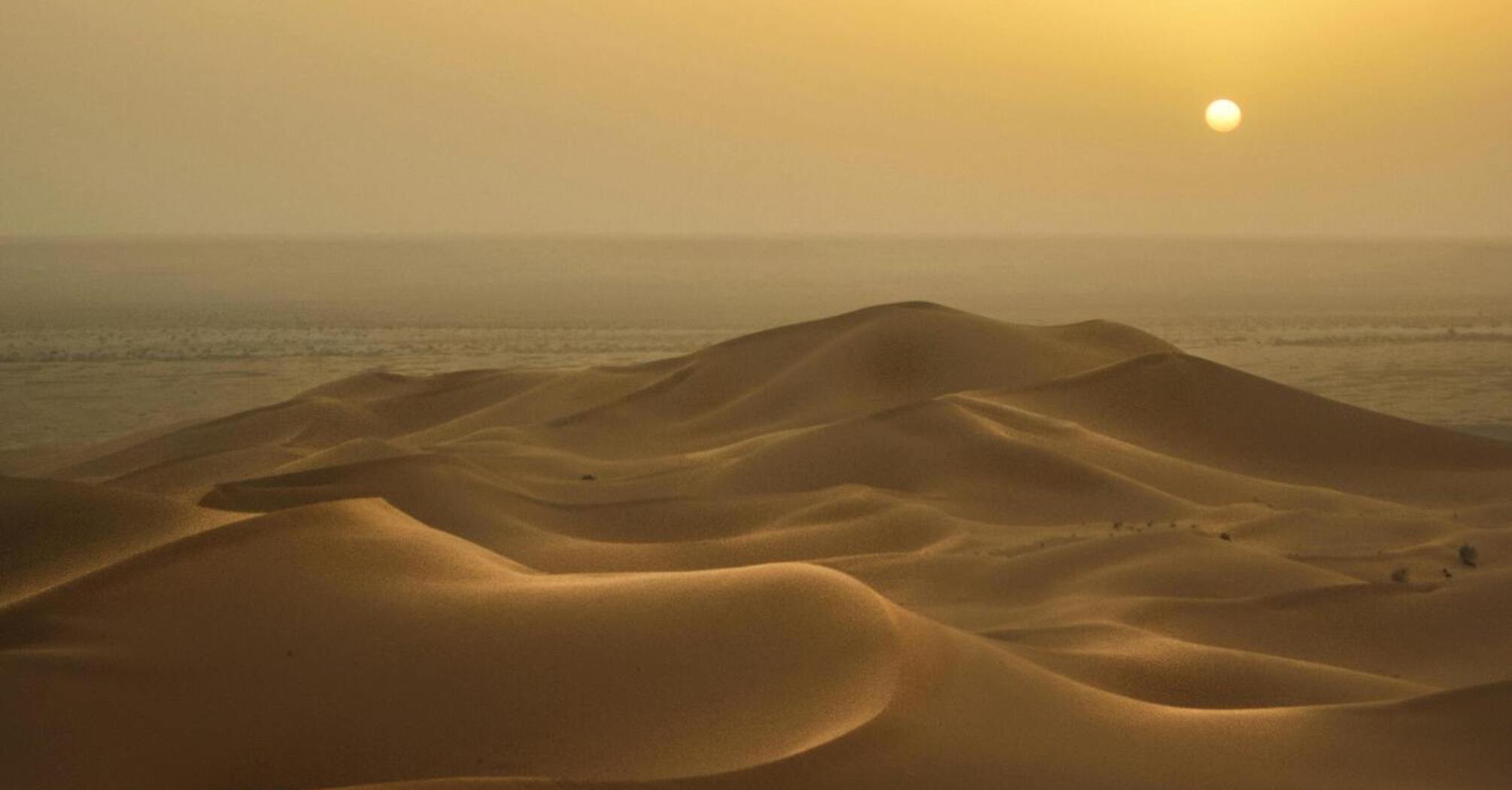 Why nature needs sand dunes and why they may disappear 