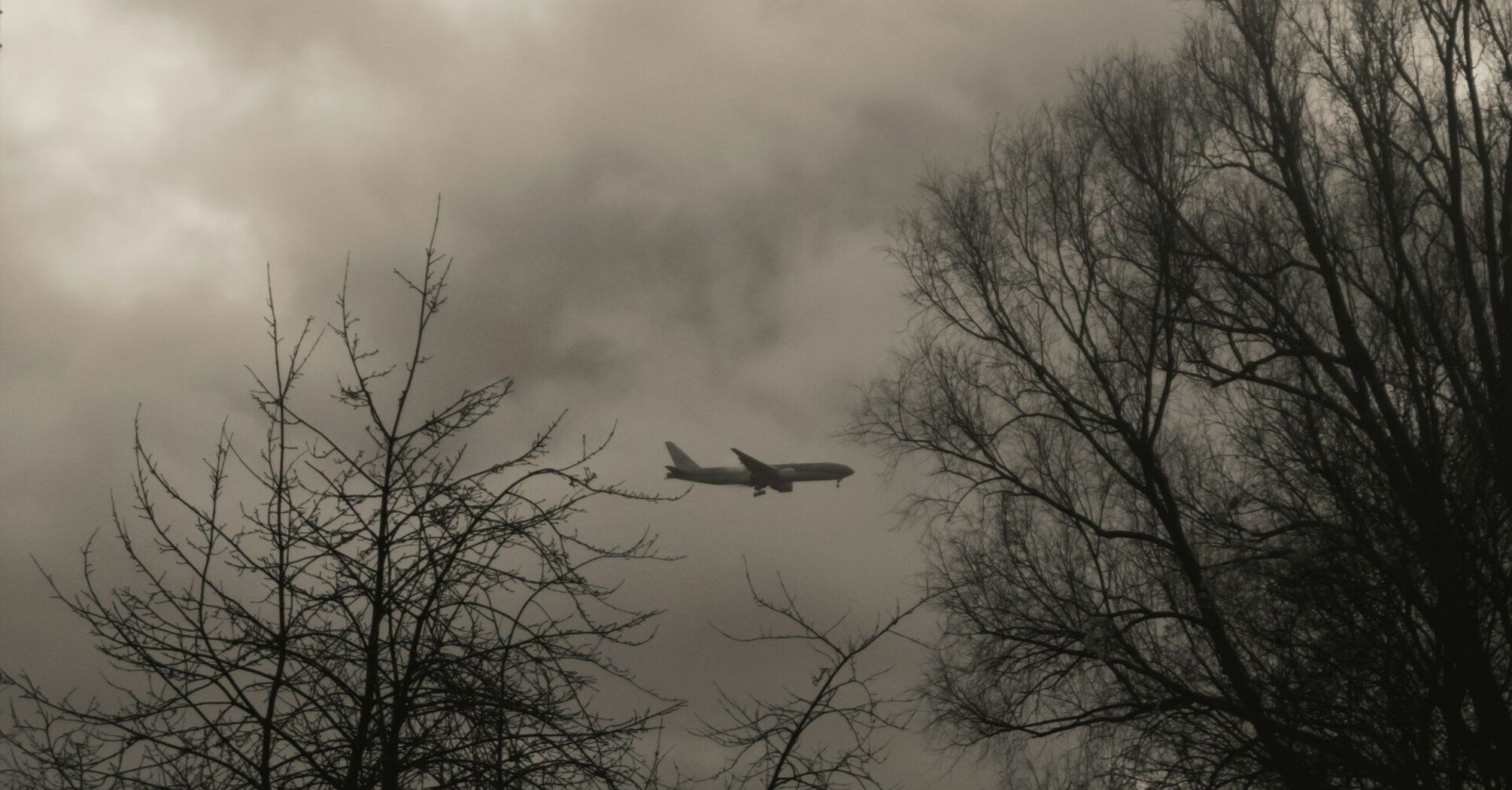 A silhouette of an airplane flying amidst overcast skies, with bare trees in the foreground