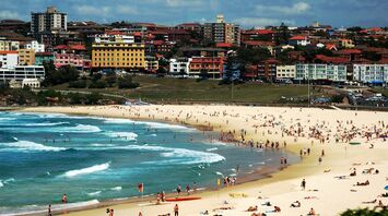 Golden sand and natural stone pools: top 5 Sydney beaches to visit