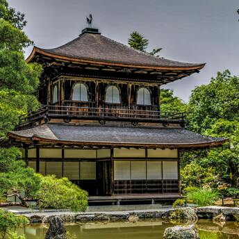 The best hotels in Kyoto are full for a vacation or comfortable for an overnight stay. Good stops for any purpose in the city