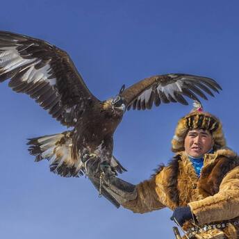 The wild beauty of Mongolia: why tourists choose this country