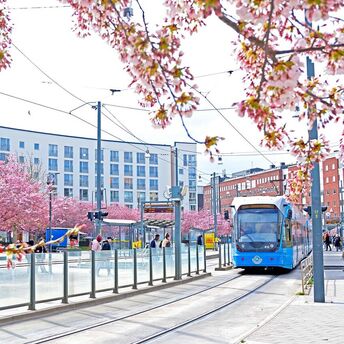 Sweden launches centralized public transport booking system