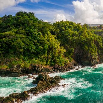 Sea Island: Georgia's best resort with swanky hotels, a cool food scene and championship golf courses