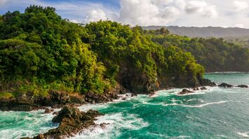Sea Island: Georgia's best resort with swanky hotels, a cool food scene and championship golf courses