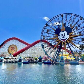 An unforgettable adventure to Disneyland: experience the emotions as in childhood