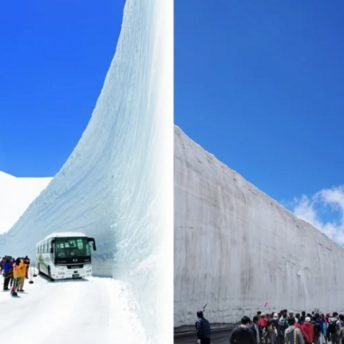 Festival "Snow Corridor"
