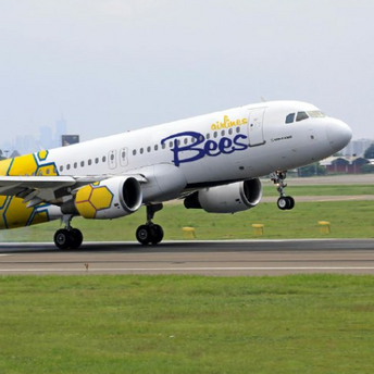 A new competitor among air carriers: Bees Airlines operates its first flights in Romania