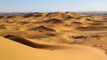 Germany, France, and Switzerland were covered by a dust cloud from the Sahara