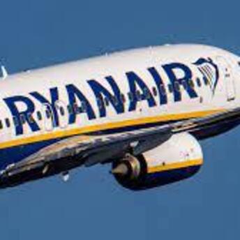 The Ryanair plane