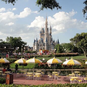When is the best time to go to Disney World: choose the right time